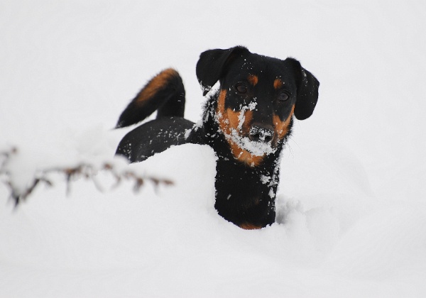 Sneeuw
