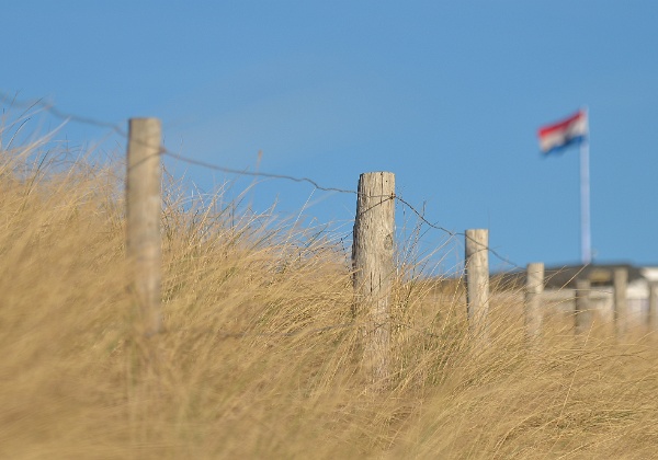 Wijk aan Zee